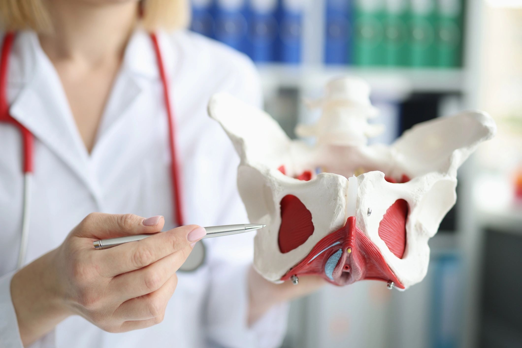 Pelvic Floor Courses Pelvic Health Courses Consulting
